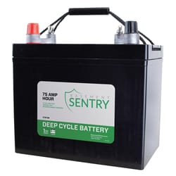 Zoeller Basement Sentry 12 V Deep Cycle Battery