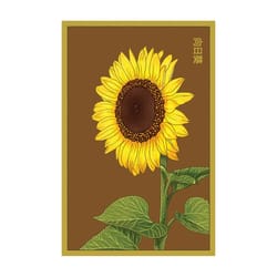 Chive Shido Seed Co. Sunflower Seeds 1 pk