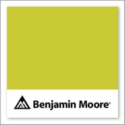 Benjamin Moore Exotic Lime 399