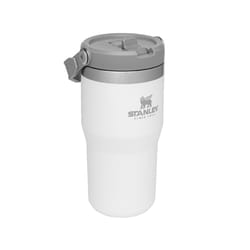 Stanley The IceFlow 20 oz Polar BPA Free Insulated Straw Tumbler