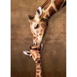Eurographics Giraffe Mother's Kiss Jigsaw Puzzle Beige/Brown 500 pc