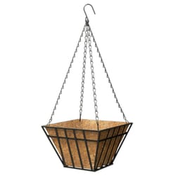 Panacea 9 in. H X 14 in. W X 14 in. D Steel English Wide Band Hanging Basket Black/Brown