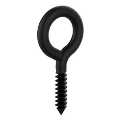 National Hardware 3 in. L Storm Shine Steel Lag Screw Eye 34 lb 1 pk