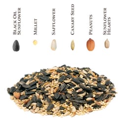 Songbird Selections Perfect Balance with Peanuts Wild Bird Seed Wild Bird Food 10 lb