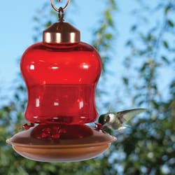 Audubon Hummingbird 14 oz Glass/Metal Bottle Nectar Feeder 3 ports