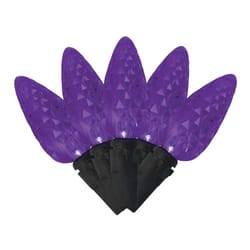 Celebrations Halloween Purple 100 ct LED Anti Flicker String Lights