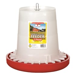 Little Giant 176 oz Feeder For Poultry