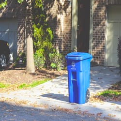 Rubbermaid Black 32 Gallon Outdoor Garbage Can with Wheels & Lid - Ace  Hardware - Ace Hardware