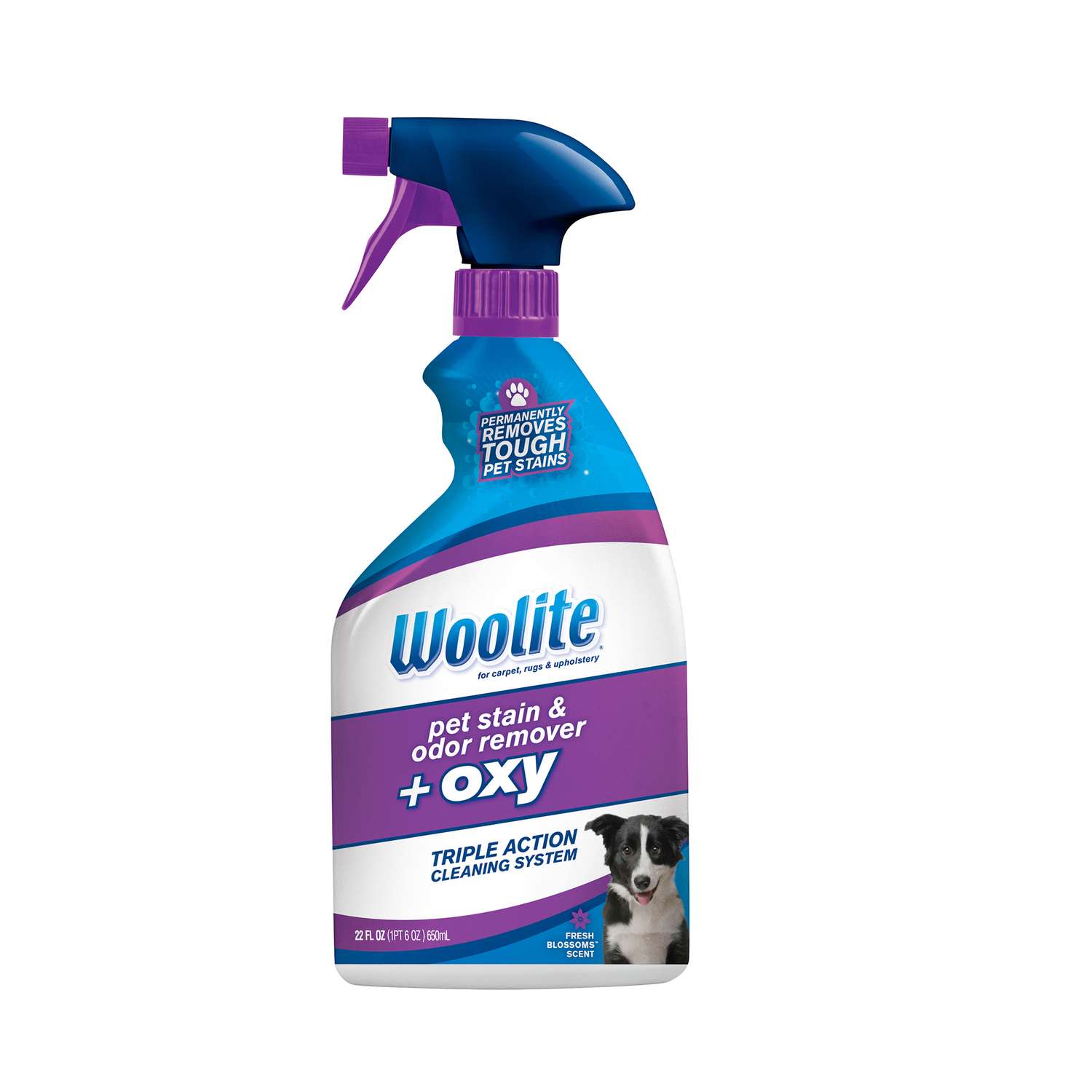 Woolite Cat/Dog Odor/Stain Remover 22 oz Ace Hardware
