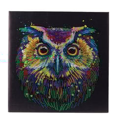 Crystal Art Craft Buddy Framed Canvas Kit Multicolored