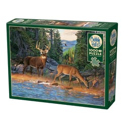 Cobble Hill The Rivers Edge Jigsaw Puzzle Cardboard 1000 pc