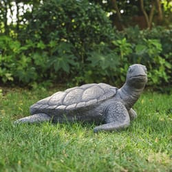 Glitzhome Fiberglass/MGO Gray 10.5 in. Crawling Turtle Garden Statue