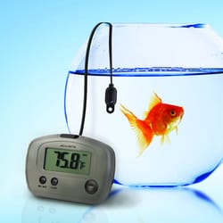 AcuRite Digital Thermometer Plastic Bronze