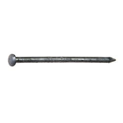 Grip-Rite 8D 2-1/2 in. Siding Hot-Dipped Galvanized Steel Nail Oval Head 1 lb