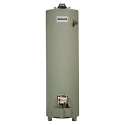 Natural Gas Water Heaters | Ace Hardware