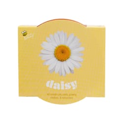 Buzzy Classic Terra Cotta Daisy Grow Kit 1 pk