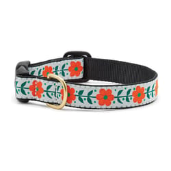 Up Country Gray Orange You Pretty Nylon Dog Collar Large