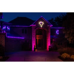 Holiday Bright Lights LED C9 Purple 25 ct Christmas Light Bulbs