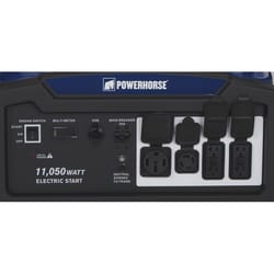 Powerhorse 120 V Gas Generator