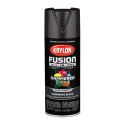 Krylon Fusion All-In-One Hammered Black Paint+Primer Spray Paint 12 oz