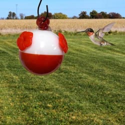 Songbird Essentials Hummingbird 8 oz Glass/Plastic Bobber Nectar Bird Feeder 3 ports