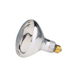 Westinghouse 125 W R40 Reflector/Heat Lamp Incandescent Bulb E26 (Medium) White 1 pk