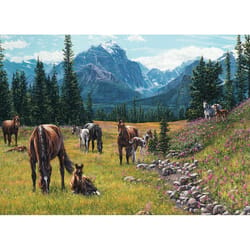 Cobble Hill Horse Meadow Jigsaw Puzzle Cardboard 1000 pc