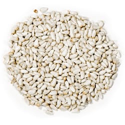 Nature's Nuts Premium Assorted Species Safflower Seeds Wild Bird Food 8 lb