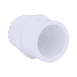 Charlotte Pipe Schedule 40 1-1/4 in. MPT X 1-1/2 in. D Slip PVC Pipe Adapter 1 pk