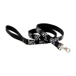 LupinePet Original Designs Multicolor Bling Bonz Nylon Dog Leash