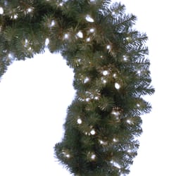 Celebrations Platinum 14 in. D X 9 ft. L LED Prelit Pure White Mixed Pine Christmas Garland