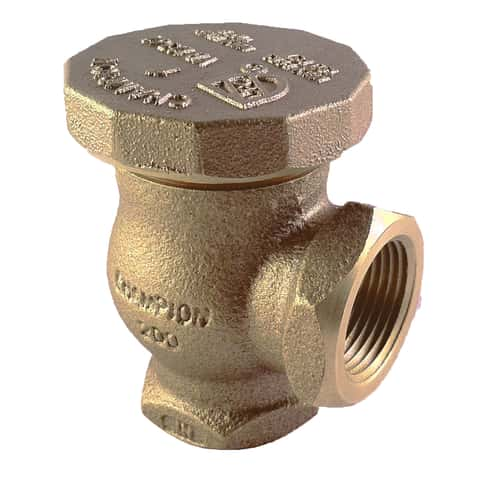 Champion 3/4 In. 25 to 150 psi Automatic Anti-Siphon Valve - G.W. Hardware