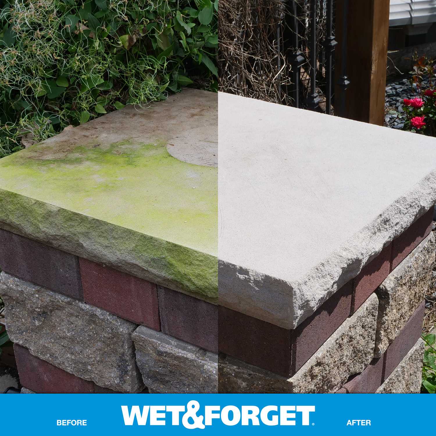 Wet and Outdoor Mold and Mildew Stain Remover 64 oz. Ace Hardware