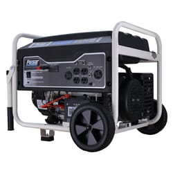 Pulsar 120/240 V Gas Portable Generator 5500 W