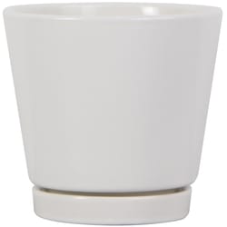 Trendspot 4 in. H X 4 in. W X 4 in. D Ceramic Knack Planter White