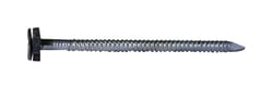 Pro-Fit 2 in. Roofing Galvanized Steel Nail Flat Head 1 lb