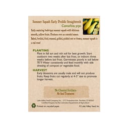Lake Valley Seed Vegetable Seeds