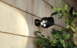 Mr. Beams Motion-Sensing Battery Powered LED Dark Brown Spotlight