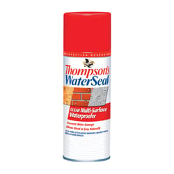 Thompson's WaterSeal Clear Water-Based Multi-Surface Waterproofer 12 oz