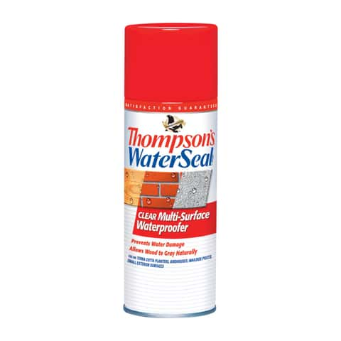 Thompson's WaterSeal Clear Wood Sealer Clear Oil-Based Wood