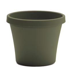 Bloem Terrapot 17.2 in. H X 20.5 in. W Resin Traditional Planter Thyme Green