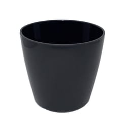 Bamboo Blooms 7 in. D Bamboo Flower Pot Black