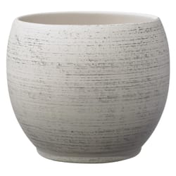 SK 5.1 in. H X 5.9 in. D Clay Alberta Ceramic Pot Gray