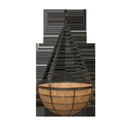 Panacea 14 in. D Steel Hanging Basket Black