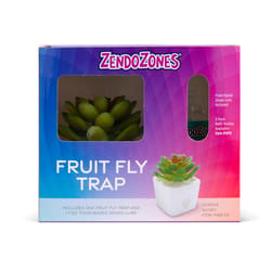 ZendoZones Fruit Fly Trap 1 box