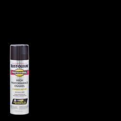 Rust-Oleum Professional Gloss Black Spray Paint 15 oz