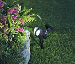 Living Accents Powered by Duracell Solar Powered 0.18 W LED Spotlight 1 pk