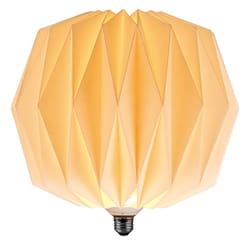 Globe Electric Specialty E26 (Medium) LED Bulb Soft White 22 Watt Equivalence 1 pk