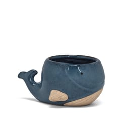 Abbott 2 in. H Stoneware Whale Planter Blue