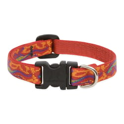 LupinePet Original Designs Multicolor Go Go Gecko Nylon Dog Adjustable Collar